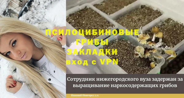 амф Горнозаводск