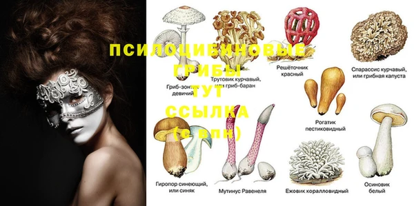 амф Горнозаводск