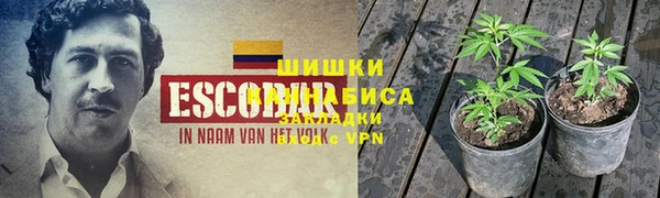 крисы Горно-Алтайск